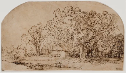 Paisaje con cabañas bajo árboles altos